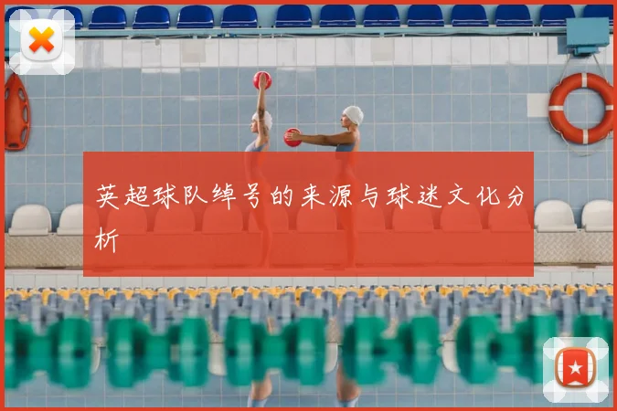 英超球队绰号的来源与球迷文化分析
