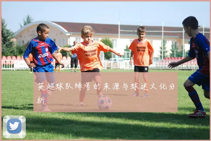 英超球队绰号的来源与球迷文化分析